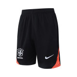 2025/26 Brazil National Team Sleeveless Training Kit