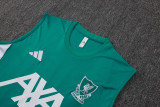2025/26 Liverpool FC Sleeveless Training Kit