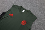 2025/26 Bayern Munich Sleeveless Training Kit