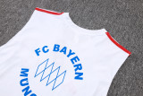 2025/26 Bayern Munich Sleeveless Training Kit