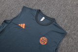 2025/26 Bayern Munich Sleeveless Training Kit