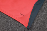 2025/26 Bayern Munich Sleeveless Training Kit