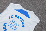 2025/26 Bayern Munich Sleeveless Training Kit