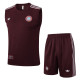 2025/26 FC Bayern Munchen Sleeveless Training Vest & Shorts Set