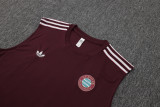 2025/26 FC Bayern Munchen Sleeveless Training Vest & Shorts Set