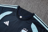 2026/27 Argentina National Team Training Kit