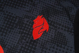 2025/26 Puma x eFootball Training Kit