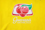 2025/26 Brazil National Team Training Kit