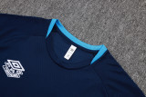 2025/26 Umbro Gremio FC Training Kit