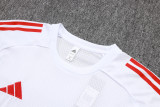 2025/26 Liverpool FC AEROREADY Pre-Match Training Kit