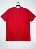 2025/26 Manchester United Lifestyler Jersey