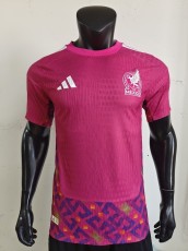 2025/26 Mexico FIFA World Cup Away Authentic Jersey