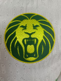 2025/26 Fourteen Cameroon Authentic Third/Special Edition Jersey