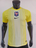 2025/26 France Authentic Away/Special Edition Jersey