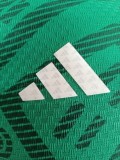 2025/26 Mexico National Team FIFA World Cup Home Match Jersey (Player Version)
