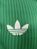2025/26 Algeria National Team Retro Special Edition Authentic Jersey