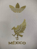 2025/26 Mexico World Cup Special Edition Authentic Jersey