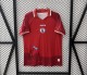 2026-2027 Haiti Home Soccer Jersey