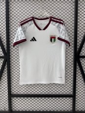 2026/27 United Arab Emirates National Football Team Away Soccer Jersey