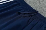 2026-27 Bayern Royal blue Jacket Tracksuit