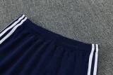 2026 AD Royal blue Jacket Tracksuit #2321