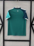 2026/27 Northern Ireland Special Edition/Away Jersey