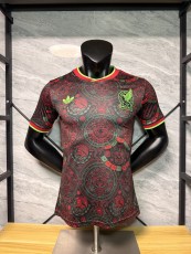 2026/27 Mexico National Team Aztec Culture Special Edition Jersey