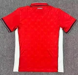 2026-27 Mens Panama Home Fans Soccer Jersey