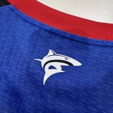 2026-27 Mens Cape Verde home blue Player version Soccer Jersey