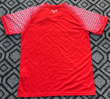 2026-27 IRAQ red Fans Soccer Jersey