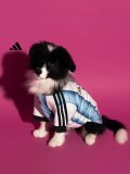 2026-27 Argentina home Blue pet  Soccer Jersey
