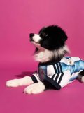 2026-27 Argentina home Blue pet  Soccer Jersey