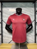 2026/27 Portugal Home Short Sleeve Player Version Soccer Jersey