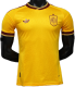2026-27 Mens Spain special edition yellow Player Version soccer  Jersey