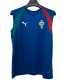 2026-27 Mens  Portugal  blue vest training suit