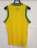 2026-27 Mens Vasco da Gama yellow vest Training