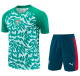 2026-27 Mens Portugal green short  training Short suit
