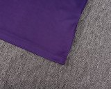 Real Madrid Purple Retro Training Short Suit