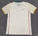 2026-27 Mens Mali Home Off White Fans Soccer Jersey