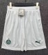 25-26 Palmeiras Home Shorts Pants