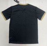 25-26 Benfica Special Edition Fans Soccer Jersey