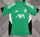 25-26 LIV Green Fans Training shirts