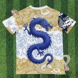 25-26 Porto Special Edition Training shirts