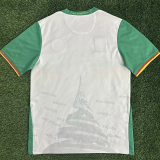 25-26 Cameroon Third Fans Soccer Jersey
