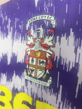 25-26 Stoke City Away Fans Soccer Jersey