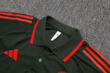 25-26 Bayern High Quality Polo Tracksuit