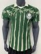 25-26 Palmeiras Special Edition Player Version Soccer Jersey