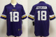 2025 NFL Minnesota Vikings New Pattern Jersey