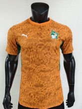 2026 Cote d'Ivoire Home Player Version Soccer Jersey