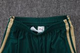 2026 Italy Green High Quality Player Version Training Short Suit (球员套装)